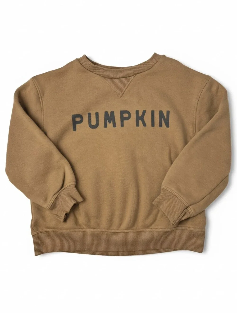 Little Co. Lauren Conrad Pumpkin Sweatshirt Brown Tan Fleece Top 4T EUC
